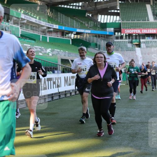 06.10.2024 - 19. swb-Marathon Bremen Yannick Fuchs http://msf.ph/oto/7449739 06.10.2024 10:36:42 Laufen im Stadion 7022, 7051, 7064, 7101, 7102, 7104, 7152, 7160, 7300, 7326, 7434, 7529, 7547, 7558, 7636, 7708, 7709, 7715, 7721, 7747, 7748, 7769, 7792, 7896, 7939, 7944, 7951, 8078, 8081, 8082, 8083, 8084, 8102, 8116, 8125, 8138, 8168, 8170, 8193, 8253, 8254, 8379, 8401, 8430, 8438, 8493, 8545, 8592, 8613, 8621, 8708, 8737, 8741, 8751, 8977, 8978, 9020, 9022, 9024, 9042, 9043, 9083, 9123, 9990 meine-sportfotos.de