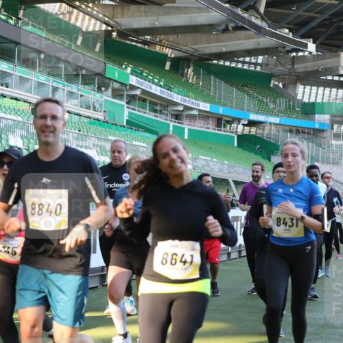 06.10.2024 - 19. swb-Marathon Bremen Yannick Fuchs http://msf.ph/oto/7449743 06.10.2024 10:32:24 Laufen im Stadion 7050, 7055, 7087, 7090, 7179, 7189, 7308, 7379, 7382, 7386, 7415, 7425, 7457, 7469, 7474, 7481, 7482, 7493, 7551, 7600, 7637, 7689, 7750, 7846, 7850, 7894, 7974, 7975, 8045, 8052, 8061, 8111, 8112, 8119, 8132, 8161, 8162, 8231, 8276, 8317, 8322, 8324, 8325, 8339, 8359, 8377, 8413, 8418, 8431, 8576, 8584, 8598, 8616, 8641, 8682, 8683, 8738, 8744, 8756, 8757, 8759, 8772, 8790, 8822, 8826, 8840, 8867, 8868, 8874, 9021, 9100, 9108, 9115, 9130 meine-sportfotos.de