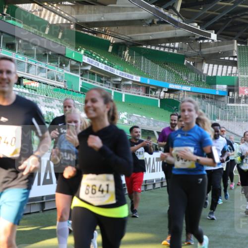 06.10.2024 - 19. swb-Marathon Bremen Yannick Fuchs http://msf.ph/oto/7449745 06.10.2024 10:32:25 Laufen im Stadion 7050, 7055, 7087, 7090, 7179, 7189, 7308, 7379, 7382, 7386, 7415, 7425, 7457, 7469, 7481, 7482, 7493, 7551, 7600, 7637, 7689, 7750, 7846, 7850, 7894, 7974, 7975, 8045, 8052, 8061, 8111, 8112, 8119, 8132, 8161, 8162, 8231, 8276, 8317, 8322, 8324, 8325, 8339, 8359, 8377, 8413, 8418, 8431, 8576, 8584, 8598, 8616, 8641, 8682, 8683, 8738, 8744, 8756, 8757, 8759, 8772, 8790, 8822, 8826, 8840, 8867, 8868, 8874, 9021, 9100, 9108, 9115, 9130 meine-sportfotos.de