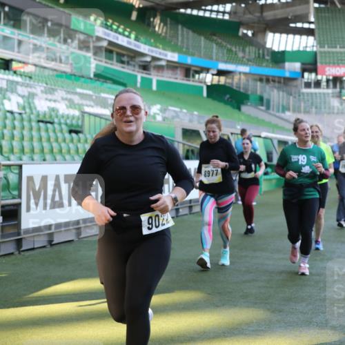 06.10.2024 - 19. swb-Marathon Bremen Yannick Fuchs http://msf.ph/oto/7449768 06.10.2024 10:36:45 Laufen im Stadion 7022, 7051, 7064, 7104, 7152, 7160, 7300, 7326, 7416, 7434, 7529, 7547, 7558, 7626, 7627, 7636, 7645, 7708, 7709, 7715, 7721, 7747, 7748, 7769, 7792, 7896, 7908, 7939, 7944, 8050, 8051, 8078, 8081, 8082, 8083, 8084, 8102, 8116, 8125, 8138, 8168, 8170, 8193, 8430, 8438, 8493, 8545, 8592, 8613, 8621, 8708, 8737, 8741, 8751, 8862, 8977, 8978, 9020, 9022, 9024, 9042, 9043, 9083, 9123, 9990 meine-sportfotos.de