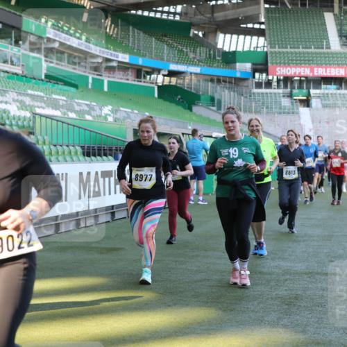 06.10.2024 - 19. swb-Marathon Bremen Yannick Fuchs http://msf.ph/oto/7449770 06.10.2024 10:36:45 Laufen im Stadion 7022, 7051, 7064, 7104, 7152, 7160, 7300, 7326, 7416, 7434, 7529, 7547, 7558, 7626, 7627, 7636, 7645, 7708, 7709, 7715, 7721, 7747, 7748, 7769, 7792, 7896, 7908, 7939, 7944, 8050, 8051, 8078, 8081, 8082, 8083, 8084, 8102, 8116, 8125, 8138, 8168, 8170, 8193, 8430, 8438, 8493, 8545, 8592, 8613, 8621, 8708, 8737, 8741, 8751, 8862, 8977, 8978, 9020, 9022, 9024, 9042, 9043, 9083, 9123, 9990 meine-sportfotos.de