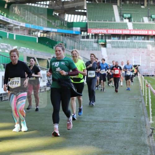 06.10.2024 - 19. swb-Marathon Bremen Yannick Fuchs http://msf.ph/oto/7449772 06.10.2024 10:36:46 Laufen im Stadion 7022, 7051, 7064, 7104, 7152, 7160, 7300, 7326, 7416, 7529, 7547, 7558, 7626, 7627, 7636, 7645, 7708, 7709, 7715, 7721, 7747, 7748, 7769, 7792, 7896, 7908, 7939, 7944, 8050, 8051, 8078, 8081, 8082, 8083, 8084, 8116, 8125, 8138, 8168, 8170, 8193, 8340, 8407, 8430, 8438, 8493, 8545, 8592, 8613, 8621, 8708, 8737, 8741, 8751, 8862, 8977, 8978, 9020, 9022, 9024, 9042, 9043, 9083, 9123, 9990 meine-sportfotos.de