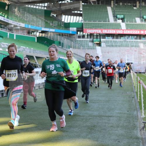 06.10.2024 - 19. swb-Marathon Bremen Yannick Fuchs http://msf.ph/oto/7449773 06.10.2024 10:36:46 Laufen im Stadion 7022, 7051, 7064, 7104, 7152, 7160, 7300, 7326, 7416, 7529, 7547, 7558, 7626, 7627, 7636, 7645, 7708, 7709, 7715, 7721, 7747, 7748, 7769, 7792, 7896, 7908, 7939, 7944, 8050, 8051, 8078, 8081, 8082, 8083, 8084, 8116, 8125, 8138, 8168, 8170, 8193, 8340, 8407, 8430, 8438, 8493, 8545, 8592, 8613, 8621, 8708, 8737, 8741, 8751, 8862, 8977, 8978, 9020, 9022, 9024, 9042, 9043, 9083, 9123, 9990 meine-sportfotos.de