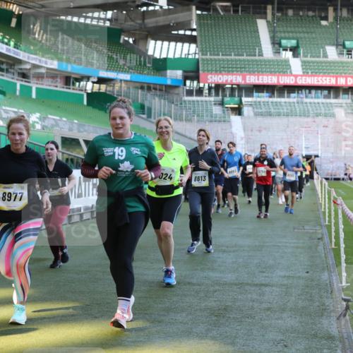 06.10.2024 - 19. swb-Marathon Bremen Yannick Fuchs http://msf.ph/oto/7449776 06.10.2024 10:36:46 Laufen im Stadion 7022, 7051, 7064, 7104, 7152, 7160, 7300, 7326, 7416, 7529, 7547, 7558, 7626, 7627, 7636, 7645, 7708, 7709, 7715, 7721, 7747, 7748, 7769, 7792, 7896, 7908, 7939, 7944, 8050, 8051, 8078, 8081, 8082, 8083, 8084, 8116, 8125, 8138, 8168, 8170, 8193, 8340, 8407, 8430, 8438, 8493, 8545, 8592, 8613, 8621, 8708, 8737, 8741, 8751, 8862, 8977, 8978, 9020, 9022, 9024, 9042, 9043, 9083, 9123, 9990 meine-sportfotos.de
