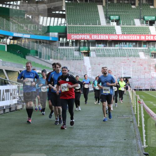 06.10.2024 - 19. swb-Marathon Bremen Yannick Fuchs http://msf.ph/oto/7449810 06.10.2024 10:36:50 Laufen im Stadion 7022, 7064, 7104, 7152, 7160, 7172, 7300, 7326, 7399, 7416, 7529, 7547, 7558, 7626, 7627, 7636, 7645, 7708, 7709, 7715, 7721, 7747, 7748, 7769, 7792, 7896, 7908, 7944, 8025, 8026, 8032, 8050, 8051, 8078, 8081, 8082, 8083, 8084, 8116, 8125, 8138, 8168, 8170, 8193, 8201, 8340, 8407, 8430, 8438, 8493, 8529, 8592, 8613, 8621, 8703, 8708, 8737, 8741, 8751, 8862, 8977, 8978, 9022, 9024, 9083, 9123, 9990 meine-sportfotos.de