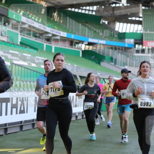 06.10.2024 - 19. swb-Marathon Bremen Yannick Fuchs http://msf.ph/oto/7449822 06.10.2024 10:32:33 Laufen im Stadion 7050, 7087, 7126, 7179, 7189, 7308, 7379, 7382, 7415, 7425, 7457, 7469, 7481, 7482, 7499, 7551, 7574, 7600, 7637, 7734, 7735, 7750, 7846, 7865, 7975, 8045, 8061, 8111, 8112, 8119, 8132, 8137, 8161, 8162, 8231, 8276, 8317, 8322, 8324, 8325, 8339, 8348, 8359, 8361, 8377, 8431, 8432, 8598, 8616, 8641, 8663, 8682, 8683, 8700, 8738, 8756, 8759, 8772, 8790, 8822, 8826, 8840, 8867, 8868, 8934, 9021, 9100, 9108, 9115, 9117, 9130 meine-sportfotos.de