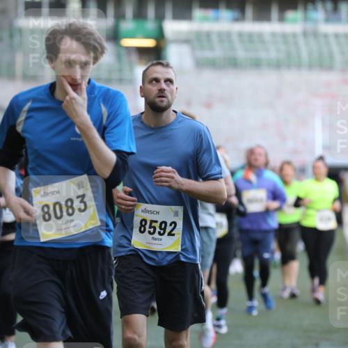 06.10.2024 - 19. swb-Marathon Bremen Yannick Fuchs http://msf.ph/oto/7449825 06.10.2024 10:36:53 Laufen im Stadion 7022, 7064, 7104, 7152, 7160, 7172, 7300, 7326, 7399, 7416, 7529, 7547, 7558, 7626, 7627, 7636, 7645, 7708, 7709, 7715, 7721, 7747, 7748, 7792, 7896, 7908, 7944, 8025, 8026, 8032, 8050, 8051, 8078, 8081, 8082, 8083, 8084, 8116, 8138, 8168, 8170, 8193, 8201, 8216, 8340, 8407, 8430, 8438, 8493, 8529, 8574, 8592, 8613, 8621, 8660, 8696, 8703, 8708, 8731, 8741, 8751, 8862, 8977, 8978, 9010, 9022, 9024, 9074, 9083, 9123, 9990 meine-sportfotos.de