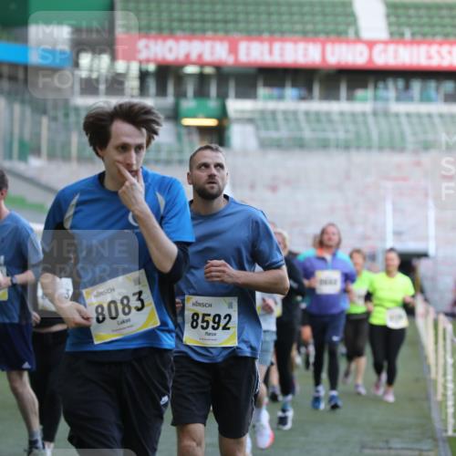 06.10.2024 - 19. swb-Marathon Bremen Yannick Fuchs http://msf.ph/oto/7449828 06.10.2024 10:36:53 Laufen im Stadion 7022, 7064, 7104, 7152, 7160, 7172, 7300, 7326, 7399, 7416, 7529, 7547, 7558, 7626, 7627, 7636, 7645, 7708, 7709, 7715, 7721, 7747, 7748, 7792, 7896, 7908, 7944, 8025, 8026, 8032, 8050, 8051, 8078, 8081, 8082, 8083, 8084, 8116, 8138, 8168, 8170, 8193, 8201, 8216, 8340, 8407, 8430, 8438, 8493, 8529, 8574, 8592, 8613, 8621, 8660, 8696, 8703, 8708, 8731, 8741, 8751, 8862, 8977, 8978, 9010, 9022, 9024, 9074, 9083, 9123, 9990 meine-sportfotos.de