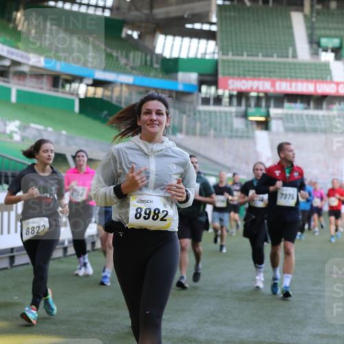 06.10.2024 - 19. swb-Marathon Bremen Yannick Fuchs http://msf.ph/oto/7449830 06.10.2024 10:32:34 Laufen im Stadion 7050, 7087, 7126, 7179, 7189, 7308, 7317, 7375, 7382, 7415, 7425, 7457, 7469, 7477, 7481, 7482, 7499, 7551, 7574, 7600, 7637, 7734, 7735, 7750, 7846, 7865, 7975, 8045, 8111, 8112, 8119, 8132, 8137, 8161, 8162, 8231, 8276, 8317, 8322, 8324, 8325, 8339, 8348, 8359, 8361, 8377, 8431, 8432, 8598, 8616, 8641, 8663, 8682, 8683, 8700, 8738, 8756, 8759, 8772, 8790, 8822, 8840, 8867, 8868, 8934, 9021, 9100, 9108, 9115, 9117, 9130 meine-sportfotos.de