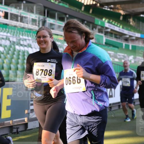 06.10.2024 - 19. swb-Marathon Bremen Yannick Fuchs http://msf.ph/oto/7449883 06.10.2024 10:37:02 Laufen im Stadion 7022, 7064, 7104, 7152, 7160, 7172, 7326, 7399, 7416, 7441, 7558, 7626, 7627, 7636, 7645, 7708, 7709, 7721, 7748, 7792, 7818, 7819, 7834, 7908, 8025, 8026, 8032, 8050, 8051, 8077, 8078, 8083, 8104, 8138, 8168, 8170, 8193, 8201, 8202, 8216, 8221, 8340, 8407, 8430, 8438, 8448, 8493, 8529, 8574, 8592, 8599, 8613, 8621, 8660, 8693, 8696, 8703, 8708, 8731, 8741, 8751, 8770, 8778, 8811, 8862, 8977, 8978, 9010, 9022, 9024, 9074, 9123, 9990 meine-sportfotos.de