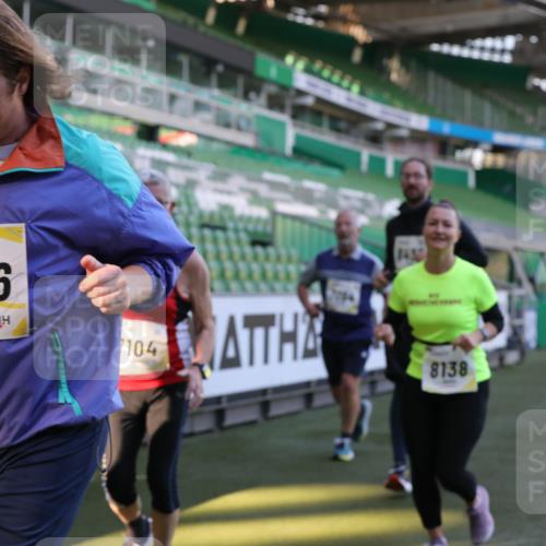 06.10.2024 - 19. swb-Marathon Bremen Yannick Fuchs http://msf.ph/oto/7449887 06.10.2024 10:37:02 Laufen im Stadion 7022, 7064, 7104, 7152, 7160, 7172, 7326, 7399, 7416, 7441, 7558, 7626, 7627, 7636, 7645, 7708, 7709, 7721, 7748, 7792, 7818, 7819, 7834, 7908, 8025, 8026, 8032, 8050, 8051, 8077, 8078, 8083, 8104, 8138, 8168, 8170, 8193, 8201, 8202, 8216, 8221, 8340, 8407, 8430, 8438, 8448, 8493, 8529, 8574, 8592, 8599, 8613, 8621, 8660, 8693, 8696, 8703, 8708, 8731, 8741, 8751, 8770, 8778, 8811, 8862, 8977, 8978, 9010, 9022, 9024, 9074, 9123, 9990 meine-sportfotos.de