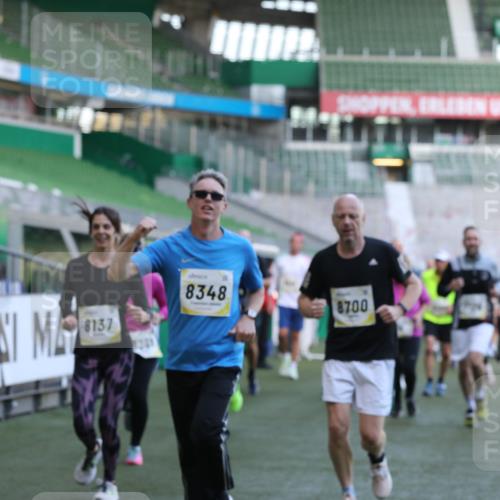 06.10.2024 - 19. swb-Marathon Bremen Yannick Fuchs http://msf.ph/oto/7449916 06.10.2024 10:32:46 Laufen im Stadion 7050, 7126, 7179, 7189, 7317, 7373, 7375, 7382, 7425, 7442, 7477, 7481, 7499, 7551, 7574, 7656, 7678, 7734, 7735, 7758, 7849, 7865, 7975, 8020, 8022, 8045, 8048, 8119, 8137, 8161, 8162, 8231, 8314, 8315, 8317, 8322, 8325, 8339, 8348, 8359, 8361, 8377, 8431, 8432, 8479, 8485, 8504, 8598, 8616, 8641, 8643, 8663, 8682, 8683, 8686, 8700, 8705, 8724, 8738, 8759, 8822, 8858, 8934, 9021, 9100, 9108, 9112, 9115, 9117, 9130 meine-sportfotos.de