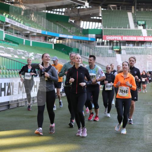 06.10.2024 - 19. swb-Marathon Bremen Yannick Fuchs http://msf.ph/oto/7449958 06.10.2024 10:37:11 Laufen im Stadion 7022, 7064, 7104, 7152, 7160, 7172, 7326, 7399, 7416, 7441, 7495, 7558, 7626, 7627, 7636, 7645, 7721, 7818, 7819, 7834, 7908, 8021, 8025, 8026, 8032, 8050, 8051, 8077, 8078, 8083, 8104, 8138, 8168, 8170, 8193, 8201, 8202, 8216, 8221, 8282, 8340, 8407, 8430, 8438, 8448, 8493, 8529, 8574, 8592, 8599, 8621, 8660, 8687, 8693, 8696, 8703, 8708, 8731, 8741, 8751, 8770, 8778, 8811, 8862, 9010, 9074, 9123, 9990 meine-sportfotos.de