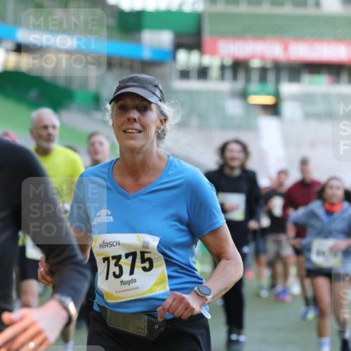 06.10.2024 - 19. swb-Marathon Bremen Yannick Fuchs http://msf.ph/oto/7449982 06.10.2024 10:32:57 Laufen im Stadion 7028, 7049, 7050, 7057, 7108, 7125, 7126, 7179, 7316, 7317, 7354, 7373, 7375, 7425, 7442, 7477, 7481, 7499, 7506, 7574, 7621, 7656, 7678, 7734, 7735, 7751, 7758, 7801, 7849, 7865, 7975, 8020, 8022, 8034, 8045, 8048, 8119, 8137, 8189, 8314, 8315, 8317, 8348, 8361, 8384, 8432, 8479, 8485, 8504, 8540, 8643, 8663, 8686, 8700, 8705, 8724, 8759, 8822, 8852, 8858, 8864, 8934, 9021, 9100, 9108, 9112, 9115, 9117, 9130 meine-sportfotos.de
