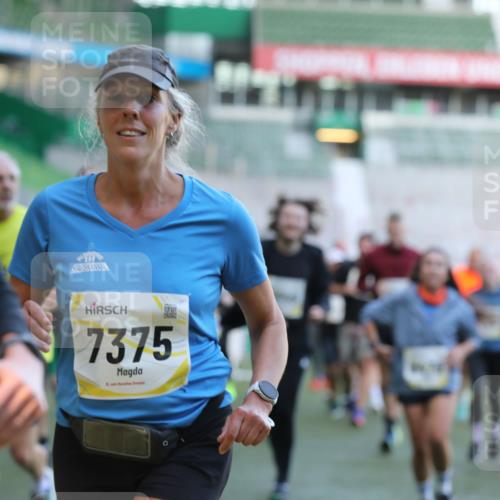 06.10.2024 - 19. swb-Marathon Bremen Yannick Fuchs http://msf.ph/oto/7449985 06.10.2024 10:32:57 Laufen im Stadion 7028, 7049, 7050, 7057, 7108, 7125, 7126, 7179, 7316, 7317, 7354, 7373, 7375, 7425, 7442, 7477, 7481, 7499, 7506, 7574, 7621, 7656, 7678, 7734, 7735, 7751, 7758, 7801, 7849, 7865, 7975, 8020, 8022, 8034, 8045, 8048, 8119, 8137, 8189, 8314, 8315, 8317, 8348, 8361, 8384, 8432, 8479, 8485, 8504, 8540, 8643, 8663, 8686, 8700, 8705, 8724, 8759, 8822, 8852, 8858, 8864, 8934, 9021, 9100, 9108, 9112, 9115, 9117, 9130 meine-sportfotos.de