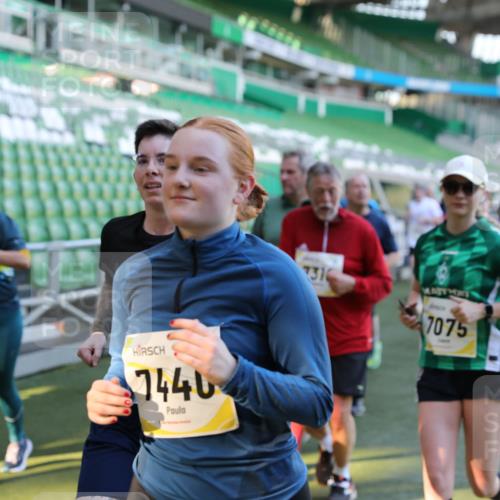 06.10.2024 - 19. swb-Marathon Bremen Yannick Fuchs http://msf.ph/oto/7450139 06.10.2024 10:38:12 Laufen im Stadion 7062, 7070, 7075, 7079, 7093, 7112, 7166, 7211, 7212, 7235, 7301, 7310, 7348, 7356, 7357, 7374, 7420, 7440, 7455, 7473, 7475, 7500, 7524, 7527, 7543, 7544, 7653, 7672, 7681, 7705, 7725, 7728, 7729, 7732, 7760, 7791, 7808, 7836, 7845, 7881, 7916, 7933, 7949, 7994, 7995, 8063, 8114, 8134, 8136, 8140, 8141, 8145, 8149, 8164, 8165, 8188, 8295, 8296, 8417, 8439, 8455, 8507, 8537, 8549, 8554, 8565, 8623, 8690, 8697, 8714, 8821, 8876, 8880, 8895, 8906, 8912, 8916, 8921, 8926, 8944 meine-sportfotos.de
