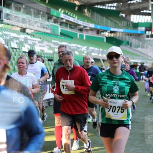 06.10.2024 - 19. swb-Marathon Bremen Yannick Fuchs http://msf.ph/oto/7450143 06.10.2024 10:38:12 Laufen im Stadion 7062, 7070, 7075, 7079, 7093, 7112, 7166, 7211, 7212, 7235, 7301, 7310, 7348, 7356, 7357, 7374, 7420, 7440, 7455, 7473, 7475, 7500, 7524, 7527, 7543, 7544, 7653, 7672, 7681, 7705, 7725, 7728, 7729, 7732, 7760, 7791, 7808, 7836, 7845, 7881, 7916, 7933, 7949, 7994, 7995, 8063, 8114, 8134, 8136, 8140, 8141, 8145, 8149, 8164, 8165, 8188, 8295, 8296, 8417, 8439, 8455, 8507, 8537, 8549, 8554, 8565, 8623, 8690, 8697, 8714, 8821, 8876, 8880, 8895, 8906, 8912, 8916, 8921, 8926, 8944 meine-sportfotos.de