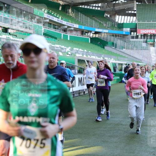 06.10.2024 - 19. swb-Marathon Bremen Yannick Fuchs http://msf.ph/oto/7450145 06.10.2024 10:38:13 Laufen im Stadion 7062, 7070, 7075, 7079, 7093, 7112, 7166, 7211, 7212, 7235, 7301, 7310, 7348, 7356, 7357, 7374, 7420, 7440, 7455, 7473, 7475, 7500, 7524, 7527, 7543, 7544, 7653, 7681, 7705, 7725, 7732, 7760, 7791, 7808, 7836, 7845, 7881, 7916, 7933, 7949, 7994, 7995, 8063, 8114, 8134, 8136, 8140, 8141, 8145, 8149, 8164, 8165, 8188, 8295, 8296, 8417, 8439, 8455, 8507, 8537, 8549, 8554, 8565, 8623, 8690, 8697, 8714, 8821, 8876, 8880, 8895, 8906, 8912, 8916, 8921, 8926, 8944 meine-sportfotos.de
