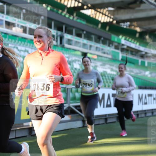 06.10.2024 - 19. swb-Marathon Bremen Yannick Fuchs http://msf.ph/oto/7450191 06.10.2024 10:38:33 Laufen im Stadion 7068, 7070, 7079, 7166, 7235, 7248, 7301, 7336, 7348, 7359, 7455, 7524, 7527, 7589, 7653, 7705, 7760, 7791, 7836, 7845, 7933, 7949, 7952, 8134, 8136, 8149, 8164, 8165, 8422, 8455, 8518, 8519, 8554, 8563, 8565, 8590, 8591, 8684, 8690, 8714, 8758, 8821, 8866, 8876, 8880, 8916, 8926, 8930, 8944, 9062 meine-sportfotos.de