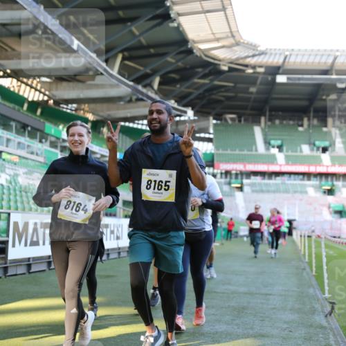 06.10.2024 - 19. swb-Marathon Bremen Yannick Fuchs http://msf.ph/oto/7450235 06.10.2024 10:38:41 Laufen im Stadion 7068, 7079, 7115, 7173, 7219, 7248, 7301, 7336, 7359, 7455, 7517, 7527, 7589, 7592, 7593, 7705, 7791, 7836, 7845, 7933, 7949, 7952, 8126, 8128, 8134, 8135, 8136, 8149, 8164, 8165, 8247, 8420, 8422, 8455, 8518, 8519, 8563, 8590, 8591, 8684, 8690, 8714, 8758, 8866, 8876, 8880, 8916, 8930, 8944, 9062, 9113 meine-sportfotos.de