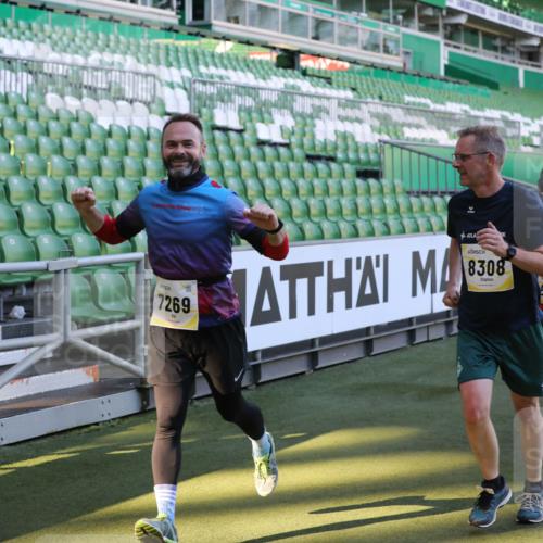06.10.2024 - 19. swb-Marathon Bremen Yannick Fuchs http://msf.ph/oto/7450248 06.10.2024 10:33:34 Laufen im Stadion 7057, 7076, 7122, 7123, 7201, 7202, 7203, 7269, 7282, 7330, 7332, 7333, 7354, 7358, 7418, 7506, 7509, 7510, 7577, 7608, 7663, 7801, 7855, 7867, 7869, 7886, 7898, 7997, 8034, 8113, 8153, 8189, 8194, 8195, 8224, 8241, 8263, 8269, 8308, 8384, 8451, 8534, 8540, 8579, 8607, 8608, 8611, 8653, 8798, 8852, 8864, 8986, 9003, 9041, 9053, 9059, 9072, 9073, 9114, 9126 meine-sportfotos.de