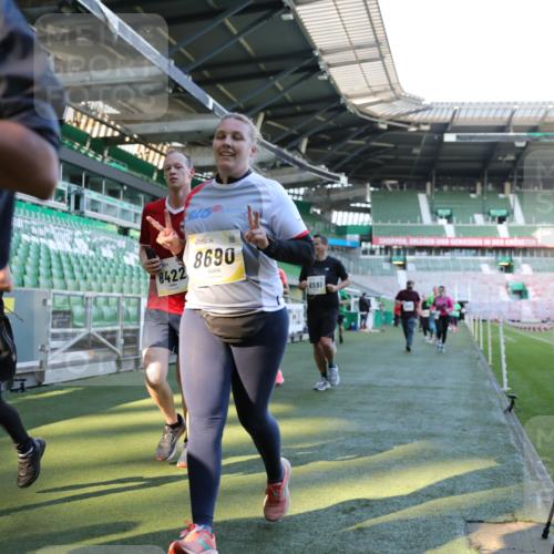 06.10.2024 - 19. swb-Marathon Bremen Yannick Fuchs http://msf.ph/oto/7450249 06.10.2024 10:38:42 Laufen im Stadion 7068, 7079, 7115, 7173, 7219, 7248, 7301, 7336, 7359, 7455, 7517, 7527, 7589, 7592, 7593, 7705, 7791, 7836, 7845, 7933, 7949, 7952, 8126, 8128, 8134, 8135, 8136, 8149, 8164, 8165, 8247, 8420, 8422, 8518, 8519, 8563, 8590, 8591, 8684, 8690, 8714, 8758, 8866, 8876, 8880, 8916, 8930, 8944, 9062, 9113 meine-sportfotos.de