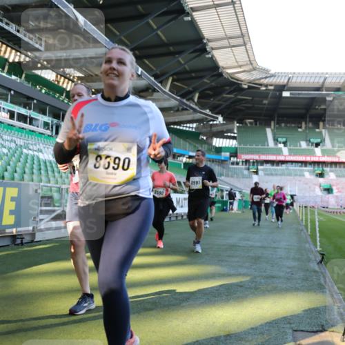 06.10.2024 - 19. swb-Marathon Bremen Yannick Fuchs http://msf.ph/oto/7450253 06.10.2024 10:38:43 Laufen im Stadion 7068, 7079, 7115, 7173, 7219, 7248, 7301, 7311, 7336, 7359, 7455, 7517, 7527, 7589, 7592, 7593, 7705, 7791, 7836, 7845, 7933, 7949, 7952, 8126, 8128, 8134, 8135, 8136, 8149, 8164, 8165, 8247, 8420, 8422, 8518, 8519, 8563, 8590, 8591, 8684, 8690, 8714, 8758, 8866, 8876, 8880, 8916, 8930, 8944, 9062, 9113 meine-sportfotos.de