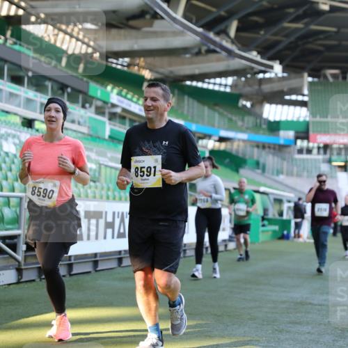 06.10.2024 - 19. swb-Marathon Bremen Yannick Fuchs http://msf.ph/oto/7450257 06.10.2024 10:38:44 Laufen im Stadion 7068, 7079, 7115, 7173, 7219, 7248, 7301, 7311, 7336, 7359, 7455, 7517, 7527, 7589, 7592, 7593, 7705, 7791, 7836, 7845, 7933, 7934, 7949, 7952, 8064, 8126, 8128, 8134, 8135, 8136, 8149, 8164, 8165, 8247, 8420, 8422, 8518, 8519, 8563, 8590, 8591, 8684, 8690, 8714, 8758, 8866, 8876, 8880, 8916, 8930, 8944, 8950, 9062, 9113 meine-sportfotos.de