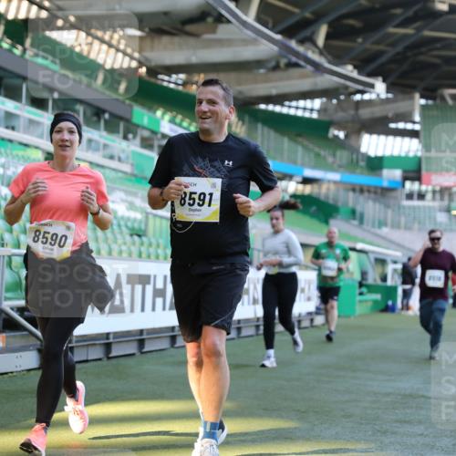 06.10.2024 - 19. swb-Marathon Bremen Yannick Fuchs http://msf.ph/oto/7450259 06.10.2024 10:38:44 Laufen im Stadion 7068, 7079, 7115, 7173, 7219, 7248, 7301, 7311, 7336, 7359, 7455, 7517, 7527, 7589, 7592, 7593, 7705, 7791, 7836, 7845, 7933, 7934, 7949, 7952, 8064, 8126, 8128, 8134, 8135, 8136, 8149, 8164, 8165, 8247, 8420, 8422, 8518, 8519, 8563, 8590, 8591, 8684, 8690, 8714, 8758, 8866, 8876, 8880, 8916, 8930, 8944, 8950, 9062, 9113 meine-sportfotos.de