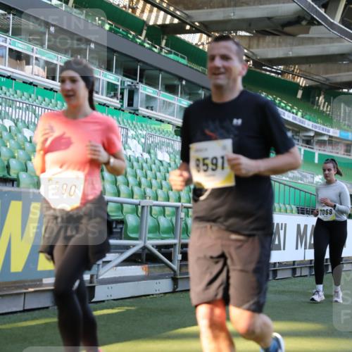 06.10.2024 - 19. swb-Marathon Bremen Yannick Fuchs http://msf.ph/oto/7450265 06.10.2024 10:38:45 Laufen im Stadion 7068, 7079, 7115, 7173, 7219, 7248, 7301, 7311, 7336, 7359, 7455, 7517, 7589, 7592, 7593, 7705, 7791, 7836, 7845, 7933, 7934, 7949, 7952, 8064, 8126, 8128, 8135, 8136, 8149, 8164, 8165, 8247, 8420, 8422, 8518, 8519, 8563, 8590, 8591, 8684, 8690, 8714, 8758, 8866, 8876, 8880, 8916, 8930, 8944, 8950, 9062, 9113 meine-sportfotos.de