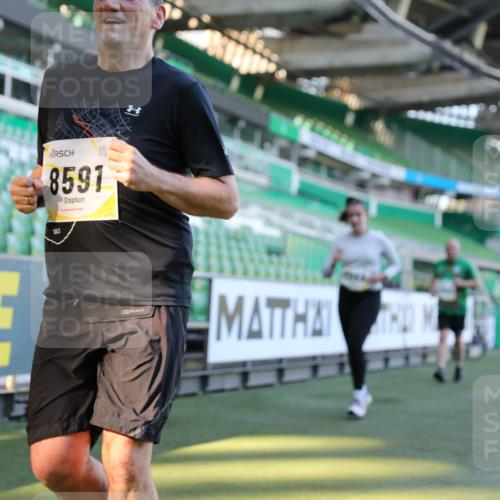 06.10.2024 - 19. swb-Marathon Bremen Yannick Fuchs http://msf.ph/oto/7450268 06.10.2024 10:38:45 Laufen im Stadion 7068, 7079, 7115, 7173, 7219, 7248, 7301, 7311, 7336, 7359, 7455, 7517, 7589, 7592, 7593, 7705, 7791, 7836, 7845, 7933, 7934, 7949, 7952, 8064, 8126, 8128, 8135, 8136, 8149, 8164, 8165, 8247, 8420, 8422, 8518, 8519, 8563, 8590, 8591, 8684, 8690, 8714, 8758, 8866, 8876, 8880, 8916, 8930, 8944, 8950, 9062, 9113 meine-sportfotos.de