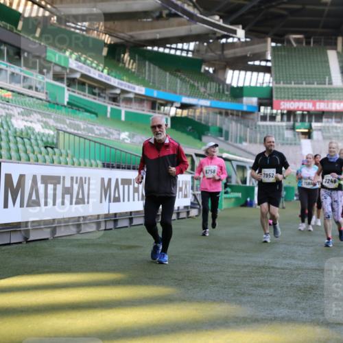 06.10.2024 - 19. swb-Marathon Bremen Yannick Fuchs http://msf.ph/oto/7450301 06.10.2024 10:38:53 Laufen im Stadion 7043, 7068, 7115, 7173, 7219, 7248, 7311, 7324, 7331, 7336, 7359, 7517, 7589, 7592, 7593, 7705, 7780, 7781, 7791, 7868, 7934, 7949, 7952, 8064, 8126, 8128, 8135, 8149, 8164, 8165, 8247, 8420, 8422, 8518, 8519, 8563, 8590, 8591, 8684, 8690, 8734, 8758, 8855, 8866, 8872, 8876, 8880, 8916, 8930, 8950, 9062, 9113 meine-sportfotos.de