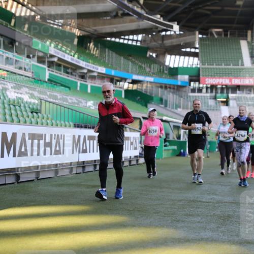 06.10.2024 - 19. swb-Marathon Bremen Yannick Fuchs http://msf.ph/oto/7450303 06.10.2024 10:38:53 Laufen im Stadion 7043, 7068, 7115, 7173, 7219, 7248, 7311, 7324, 7331, 7336, 7359, 7517, 7589, 7592, 7593, 7705, 7780, 7781, 7791, 7868, 7934, 7949, 7952, 8064, 8126, 8128, 8135, 8149, 8164, 8165, 8247, 8420, 8422, 8518, 8519, 8563, 8590, 8591, 8684, 8690, 8734, 8758, 8855, 8866, 8872, 8876, 8880, 8916, 8930, 8950, 9062, 9113 meine-sportfotos.de