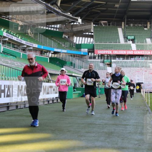 06.10.2024 - 19. swb-Marathon Bremen Yannick Fuchs http://msf.ph/oto/7450307 06.10.2024 10:38:53 Laufen im Stadion 7043, 7068, 7115, 7173, 7219, 7248, 7311, 7324, 7331, 7336, 7359, 7517, 7589, 7592, 7593, 7705, 7780, 7781, 7791, 7868, 7934, 7949, 7952, 8064, 8126, 8128, 8135, 8149, 8164, 8165, 8247, 8420, 8422, 8518, 8519, 8563, 8590, 8591, 8684, 8690, 8734, 8758, 8855, 8866, 8872, 8876, 8880, 8916, 8930, 8950, 9062, 9113 meine-sportfotos.de