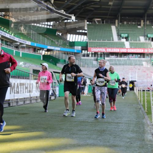 06.10.2024 - 19. swb-Marathon Bremen Yannick Fuchs http://msf.ph/oto/7450312 06.10.2024 10:38:54 Laufen im Stadion 7043, 7068, 7115, 7173, 7219, 7248, 7311, 7324, 7331, 7336, 7359, 7517, 7589, 7592, 7593, 7705, 7780, 7781, 7868, 7934, 7952, 8064, 8126, 8128, 8135, 8164, 8165, 8247, 8420, 8422, 8518, 8519, 8563, 8590, 8591, 8684, 8690, 8734, 8758, 8855, 8866, 8872, 8876, 8880, 8916, 8930, 8950, 9062, 9113 meine-sportfotos.de