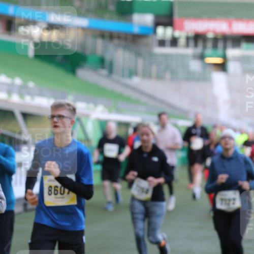 06.10.2024 - 19. swb-Marathon Bremen Yannick Fuchs http://msf.ph/oto/7450315 06.10.2024 10:33:54 Laufen im Stadion 7040, 7076, 7122, 7123, 7130, 7201, 7202, 7203, 7227, 7264, 7269, 7282, 7330, 7332, 7358, 7404, 7418, 7577, 7608, 7663, 7693, 7718, 7723, 7811, 7832, 7848, 7855, 7867, 7869, 7886, 7935, 7997, 8033, 8113, 8178, 8179, 8190, 8195, 8197, 8208, 8235, 8236, 8263, 8269, 8293, 8308, 8326, 8338, 8382, 8399, 8414, 8415, 8435, 8451, 8463, 8534, 8546, 8579, 8607, 8608, 8611, 8612, 8640, 8653, 8694, 8798, 9003, 9041, 9053, 9072, 9073 meine-sportfotos.de