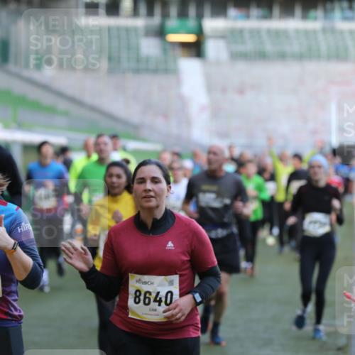 06.10.2024 - 19. swb-Marathon Bremen Yannick Fuchs http://msf.ph/oto/7450350 06.10.2024 10:34:00 Laufen im Stadion 7040, 7076, 7122, 7123, 7130, 7201, 7202, 7203, 7227, 7264, 7282, 7330, 7332, 7358, 7395, 7404, 7418, 7577, 7608, 7663, 7693, 7718, 7723, 7811, 7832, 7848, 7855, 7867, 7869, 7886, 7929, 7935, 7987, 7997, 8005, 8006, 8017, 8033, 8107, 8113, 8178, 8179, 8190, 8197, 8208, 8229, 8235, 8236, 8263, 8269, 8293, 8326, 8338, 8382, 8398, 8399, 8414, 8415, 8435, 8463, 8534, 8546, 8550, 8572, 8579, 8607, 8608, 8612, 8640, 8644, 8653, 8694, 8798, 9003, 9072, 9073 meine-sportfotos.de