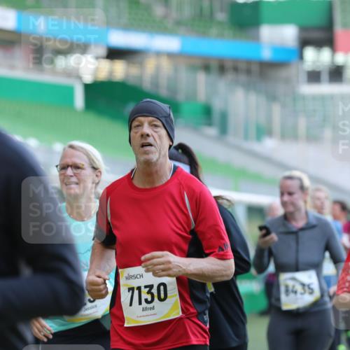 06.10.2024 - 19. swb-Marathon Bremen Yannick Fuchs http://msf.ph/oto/7450400 06.10.2024 10:34:13 Laufen im Stadion 7040, 7048, 7122, 7123, 7130, 7221, 7223, 7227, 7242, 7255, 7262, 7264, 7352, 7358, 7377, 7383, 7395, 7404, 7418, 7446, 7532, 7577, 7693, 7718, 7723, 7745, 7775, 7811, 7832, 7844, 7848, 7886, 7909, 7910, 7929, 7935, 7971, 7987, 8005, 8006, 8017, 8027, 8033, 8107, 8113, 8115, 8178, 8179, 8190, 8197, 8203, 8208, 8229, 8235, 8236, 8269, 8270, 8283, 8293, 8326, 8338, 8382, 8398, 8399, 8414, 8415, 8435, 8463, 8546, 8550, 8572, 8579, 8607, 8608, 8612, 8640, 8644, 8670, 8694 meine-sportfotos.de