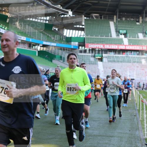 06.10.2024 - 19. swb-Marathon Bremen Yannick Fuchs http://msf.ph/oto/7450436 06.10.2024 10:34:16 Laufen im Stadion 7040, 7048, 7122, 7130, 7221, 7223, 7227, 7242, 7255, 7262, 7264, 7352, 7358, 7377, 7383, 7395, 7404, 7418, 7446, 7507, 7532, 7693, 7718, 7722, 7723, 7745, 7775, 7811, 7832, 7844, 7848, 7886, 7909, 7910, 7918, 7929, 7935, 7971, 7980, 7987, 8005, 8006, 8017, 8027, 8033, 8107, 8113, 8115, 8178, 8179, 8190, 8197, 8203, 8208, 8229, 8235, 8236, 8270, 8283, 8293, 8326, 8338, 8382, 8398, 8399, 8414, 8415, 8435, 8463, 8546, 8550, 8572, 8607, 8608, 8612, 8640, 8644, 8670, 8694, 9015 meine-sportfotos.de
