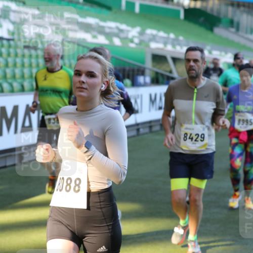 06.10.2024 - 19. swb-Marathon Bremen Yannick Fuchs http://msf.ph/oto/7450454 06.10.2024 10:35:10 Laufen im Stadion 7034, 7035, 7042, 7138, 7155, 7156, 7162, 7204, 7226, 7251, 7258, 7266, 7295, 7307, 7321, 7335, 7413, 7443, 7468, 7478, 7479, 7490, 7502, 7587, 7644, 7679, 7680, 7690, 7699, 7757, 7772, 7773, 7829, 7830, 7863, 7864, 7899, 7900, 7902, 7923, 7926, 7932, 7954, 7955, 7981, 8073, 8074, 8088, 8118, 8144, 8152, 8183, 8225, 8246, 8366, 8370, 8378, 8409, 8410, 8429, 8449, 8450, 8472, 8494, 8495, 8496, 8506, 8509, 8539, 8541, 8542, 8588, 8589, 8698, 8760, 8799, 8839, 8848, 8871 meine-sportfotos.de