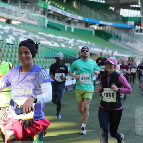 06.10.2024 - 19. swb-Marathon Bremen Yannick Fuchs http://msf.ph/oto/7450476 06.10.2024 10:35:12 Laufen im Stadion 7034, 7035, 7042, 7138, 7155, 7162, 7204, 7226, 7251, 7258, 7266, 7295, 7321, 7335, 7413, 7443, 7468, 7478, 7479, 7490, 7502, 7587, 7644, 7679, 7680, 7690, 7699, 7757, 7772, 7773, 7829, 7830, 7863, 7864, 7899, 7900, 7902, 7923, 7926, 7932, 7954, 7955, 7981, 8073, 8074, 8088, 8118, 8144, 8152, 8183, 8225, 8246, 8366, 8370, 8378, 8409, 8410, 8429, 8449, 8450, 8472, 8494, 8495, 8496, 8506, 8509, 8539, 8541, 8542, 8588, 8589, 8698, 8760, 8799, 8839, 8848, 8871 meine-sportfotos.de