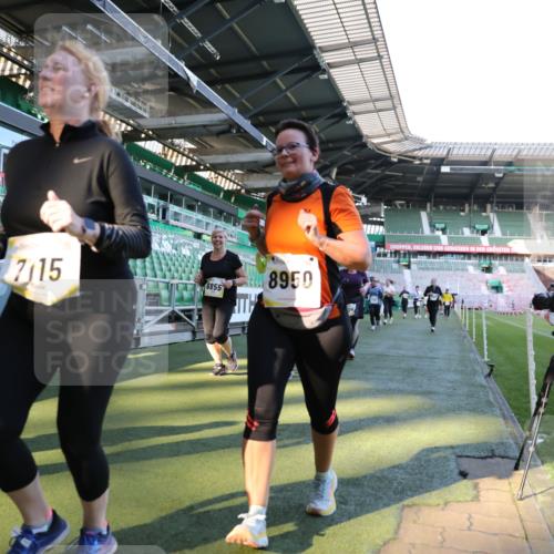 06.10.2024 - 19. swb-Marathon Bremen Yannick Fuchs http://msf.ph/oto/7450477 06.10.2024 10:39:16 Laufen im Stadion 7043, 7115, 7173, 7219, 7311, 7324, 7331, 7517, 7592, 7593, 7780, 7781, 7868, 7934, 7948, 8064, 8126, 8128, 8135, 8247, 8353, 8420, 8453, 8587, 8684, 8734, 8795, 8855, 8866, 8872, 8881, 8950, 9011, 9113 meine-sportfotos.de