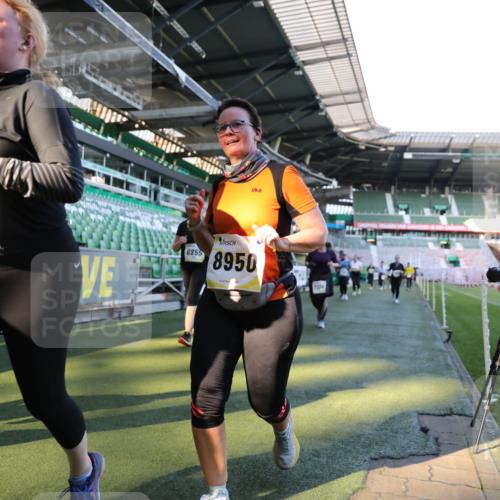 06.10.2024 - 19. swb-Marathon Bremen Yannick Fuchs http://msf.ph/oto/7450479 06.10.2024 10:39:16 Laufen im Stadion 7043, 7115, 7173, 7219, 7311, 7324, 7331, 7517, 7592, 7593, 7780, 7781, 7868, 7934, 7948, 8064, 8126, 8128, 8135, 8247, 8353, 8420, 8453, 8587, 8684, 8734, 8795, 8855, 8866, 8872, 8881, 8950, 9011, 9113 meine-sportfotos.de