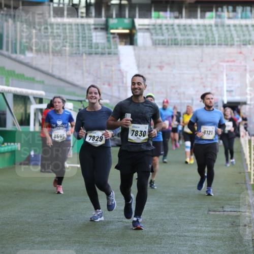 06.10.2024 - 19. swb-Marathon Bremen Yannick Fuchs http://msf.ph/oto/7450567 06.10.2024 10:35:30 Laufen im Stadion 7034, 7035, 7042, 7138, 7155, 7162, 7226, 7251, 7258, 7266, 7295, 7321, 7341, 7353, 7391, 7393, 7428, 7468, 7478, 7479, 7490, 7514, 7515, 7690, 7829, 7830, 7863, 7899, 7900, 7902, 7904, 7923, 7932, 7955, 7967, 8073, 8074, 8121, 8131, 8144, 8183, 8191, 8225, 8273, 8366, 8370, 8378, 8409, 8410, 8421, 8425, 8449, 8450, 8506, 8588, 8589, 8595, 8698, 8760, 8799, 8818, 8837, 8952, 8957, 9029, 9666 meine-sportfotos.de