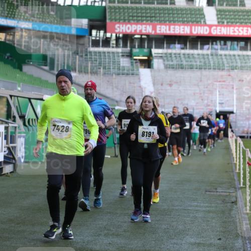 06.10.2024 - 19. swb-Marathon Bremen Yannick Fuchs http://msf.ph/oto/7450620 06.10.2024 10:35:41 Laufen im Stadion 7018, 7020, 7042, 7155, 7182, 7226, 7258, 7266, 7341, 7353, 7391, 7393, 7428, 7460, 7462, 7468, 7490, 7514, 7515, 7686, 7694, 7829, 7830, 7863, 7878, 7902, 7904, 7923, 7932, 7937, 7967, 7977, 8073, 8074, 8121, 8131, 8191, 8225, 8265, 8273, 8370, 8409, 8410, 8421, 8425, 8449, 8562, 8582, 8595, 8638, 8668, 8675, 8787, 8799, 8818, 8837, 8940, 8952, 8957, 9017, 9029, 9128, 9666 meine-sportfotos.de
