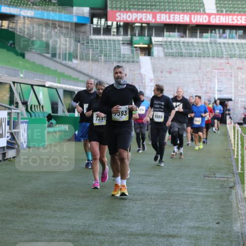 06.10.2024 - 19. swb-Marathon Bremen Yannick Fuchs http://msf.ph/oto/7450646 06.10.2024 10:35:49 Laufen im Stadion 7018, 7020, 7167, 7182, 7341, 7353, 7391, 7393, 7428, 7460, 7462, 7514, 7515, 7522, 7573, 7609, 7610, 7639, 7686, 7694, 7724, 7829, 7830, 7878, 7904, 7923, 7937, 7945, 7967, 7969, 7977, 8096, 8121, 8131, 8191, 8212, 8265, 8273, 8367, 8421, 8425, 8483, 8486, 8562, 8582, 8595, 8638, 8668, 8675, 8685, 8704, 8787, 8818, 8837, 8920, 8940, 8941, 8952, 8957, 9017, 9029, 9128, 9666 meine-sportfotos.de