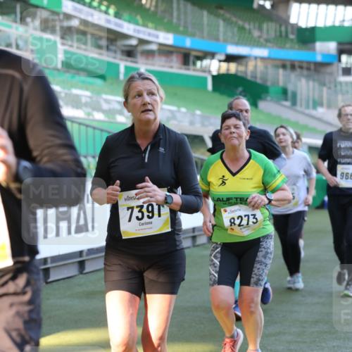 06.10.2024 - 19. swb-Marathon Bremen Yannick Fuchs http://msf.ph/oto/7450657 06.10.2024 10:35:53 Laufen im Stadion 7018, 7020, 7167, 7182, 7341, 7353, 7391, 7393, 7428, 7460, 7462, 7514, 7515, 7522, 7573, 7609, 7610, 7639, 7667, 7686, 7694, 7724, 7829, 7830, 7878, 7904, 7907, 7937, 7945, 7967, 7969, 7977, 8096, 8121, 8131, 8191, 8212, 8265, 8273, 8367, 8421, 8425, 8462, 8483, 8486, 8530, 8562, 8582, 8595, 8638, 8668, 8675, 8685, 8704, 8787, 8818, 8837, 8920, 8940, 8941, 8952, 8957, 9017, 9029, 9128, 9666 meine-sportfotos.de