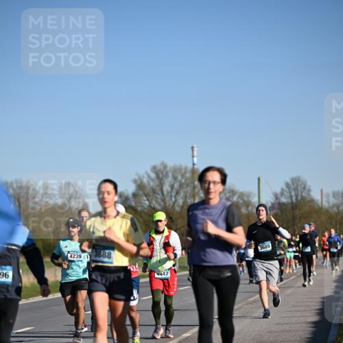 06.04.2025 - 44. Internationalen Wilhelmsburger Insellauf Dr. Thomas Lammeyer http://msf.ph/oto/7558145 06.04.2025 09:34:15 Laufen 96, 4239, 3888, 4447, 3689 meine-sportfotos.de