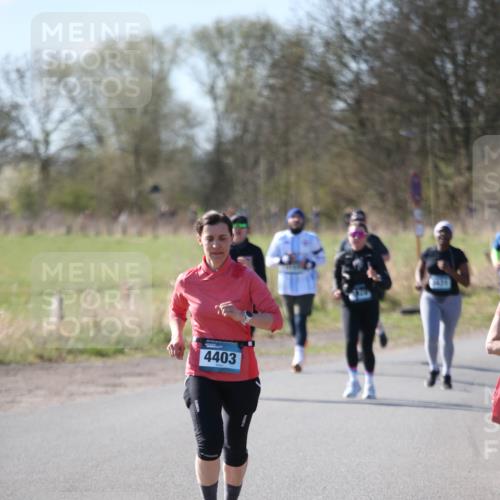 06.04.2025 - 44. Internationalen Wilhelmsburger Insellauf Jannik Wohlers http://msf.ph/oto/7598505 06.04.2025 10:38:29 Laufen 4403 meine-sportfotos.de