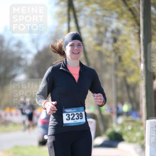 06.04.2025 - 44. Internationalen Wilhelmsburger Insellauf Jannik Wohlers http://msf.ph/oto/7600434 06.04.2025 10:42:13 Laufen 3239 meine-sportfotos.de